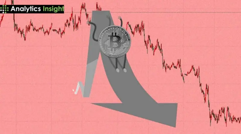 Crypto Crashes: Exposing Vulnerabilities in Decentralized Finance