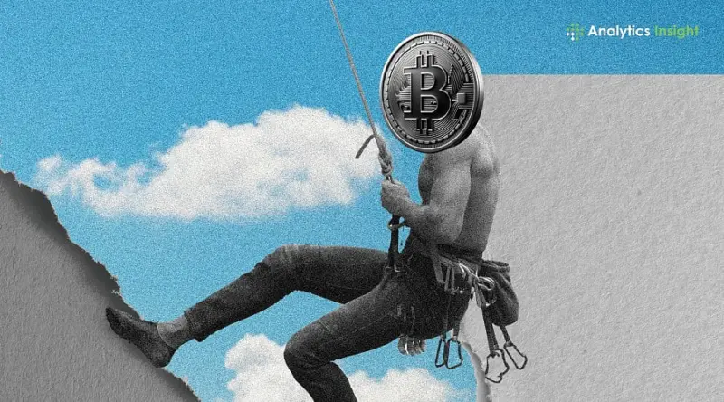 What's Fueling Bitcoin's Climb Toward $80,000? A Market Insight
