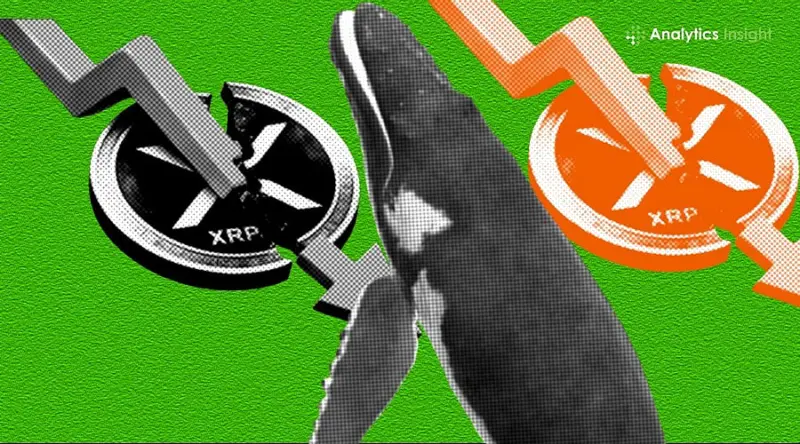 Crypto News Today: Bitcoin Inflows, XRP Whale Outflows, and Strategy BTC Selling