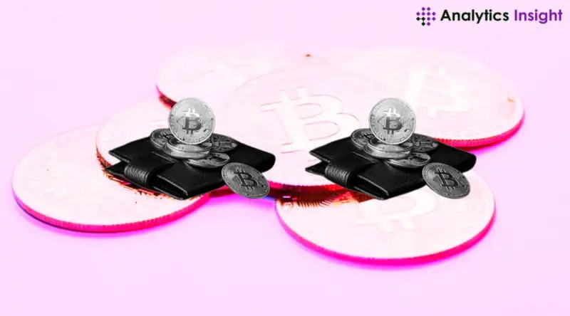 A Guide to Crypto Wallet App Development