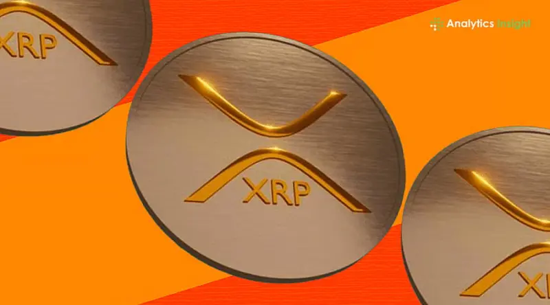 Top XRP Holders in 2026: Complete Ripple Ownership Guide