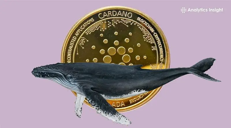 Crypto News Today: ADA Whale Accumulation, Meta's Stablecoin Revival, Binance Probe, $61M USDT Seizure