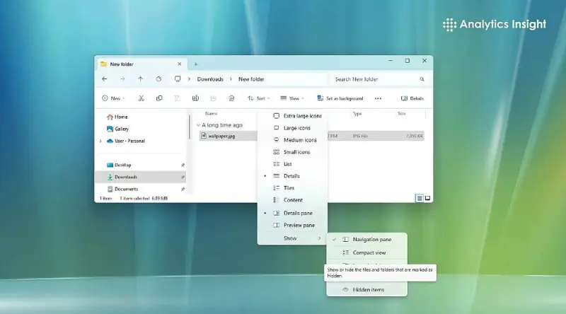 How to Show Hidden Files and Folders in Windows 11