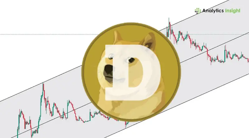 Will Dogecoin Follow Its Previous Rally Patterns?