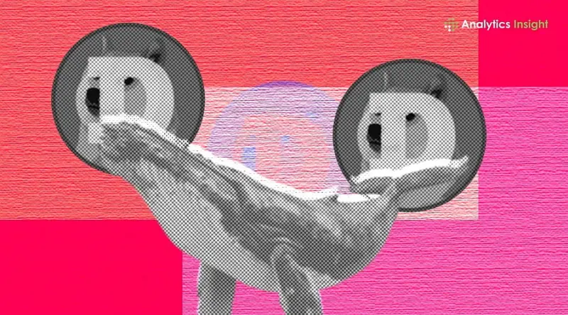 Dogecoin Whale Holdings Hit Record as DOGE Activity Spikes Again