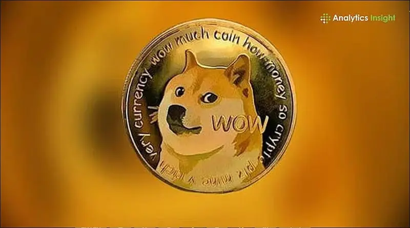 Is DOGE Ready to Explode or Crash? The Truth Behind its Momentum