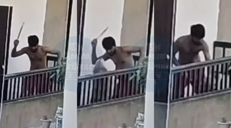 Court grants permanent custody of abused dog to Purr Paws Foundation