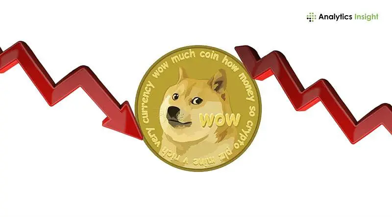 Are Investors Buying Dogecoin After the 16% Drop?