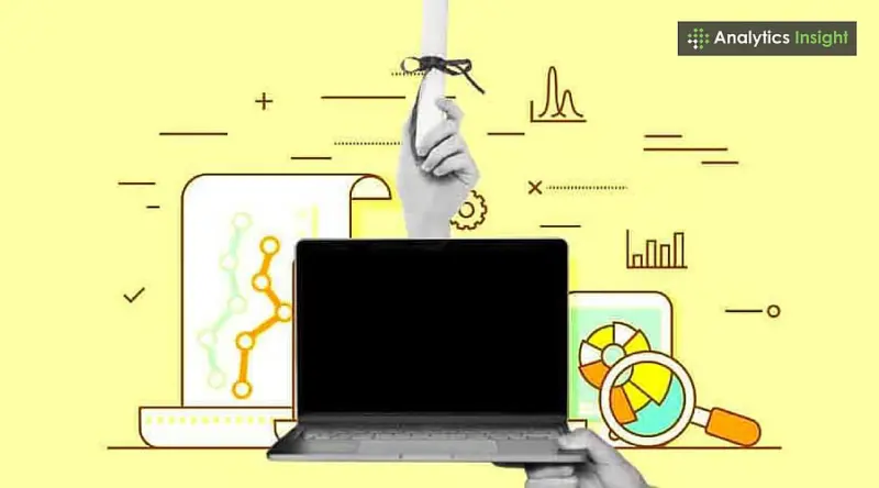 Data Analyst: Job Description, Skills, and More Details