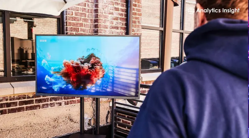 Best Outdoor TVs That Beat the Sun and Brave the Rain: Expert Picks