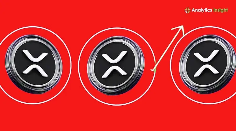 XRP ETF Holdings: What Share of Supply Is Controlled?