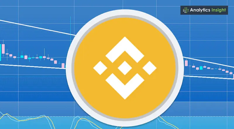 Why are BNB Memecoins Gaining Momentum in 2025?