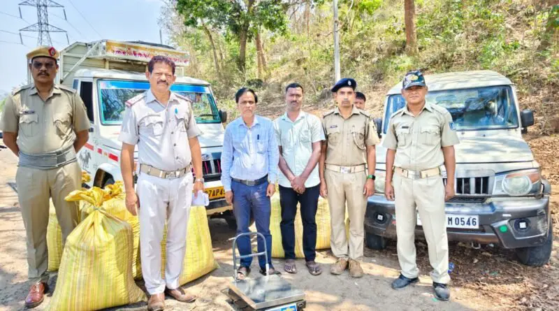 ଗଜପତି ପୋଲିସ ଦ୍ଵାରା 50 ଲକ୍ଷ ଟଙ୍କାର ଗଞ୍ଜେଇ ଜବତ