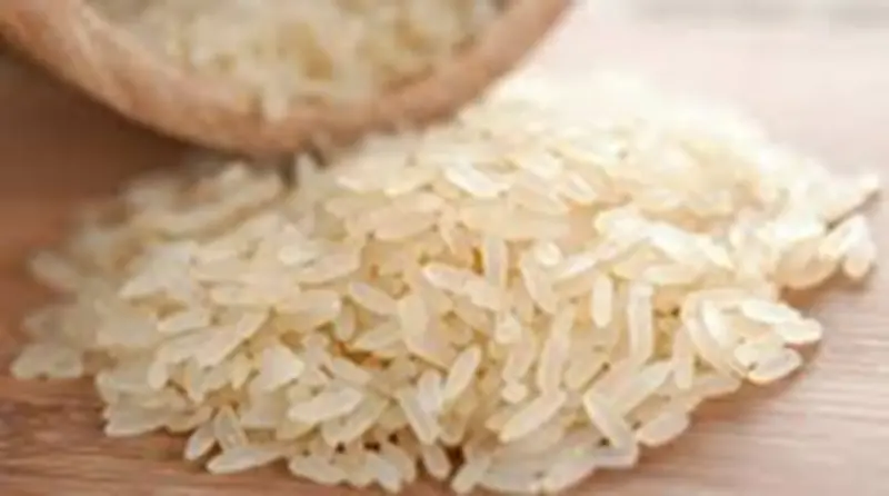 Protein-Rich Rice: Are you afraid of eating rice? CSIR's new discovery will transform your plate, preventing iron and vitamin deficiencies.