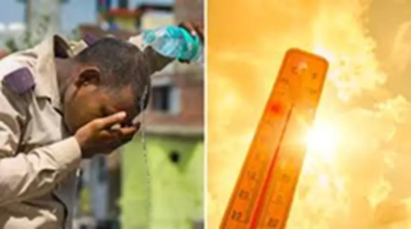 Summer Business: Start this business in the summer season, and you will earn huge profits with less investment.