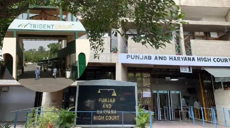Trident Group ਬਨਾਮ PPCB : ਹਾਈ ਕੋਰਟ ਨੇ ਫੈਸਲਾ ਰੱਖਿਆ ਸੁਰੱਖਿਅਤ