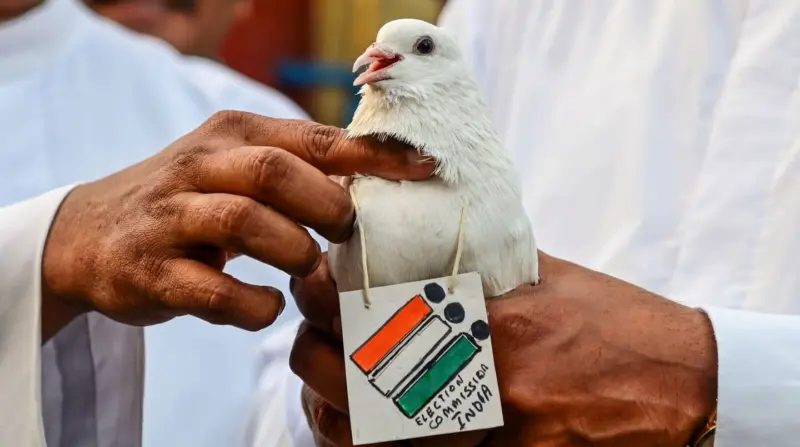 Assembly elections 2026: Counting begins for 4 states, 1 UT
