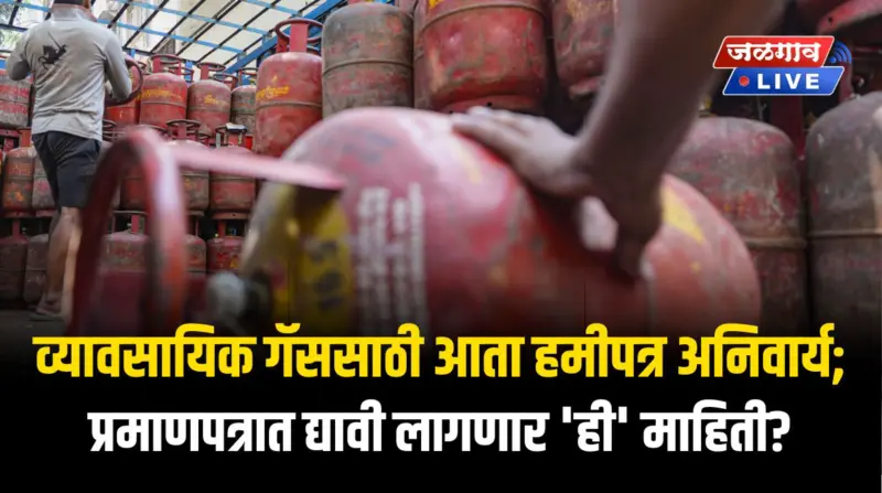 व्यावसायिक गॅससाठी आता हमीपत्र अनिवार्य; प्रमाणपत्रात द्यावी लागणार 'ही' माहिती?