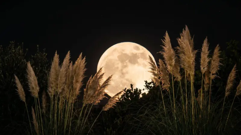 Flower Moon rises tonight: Why this full moon is special