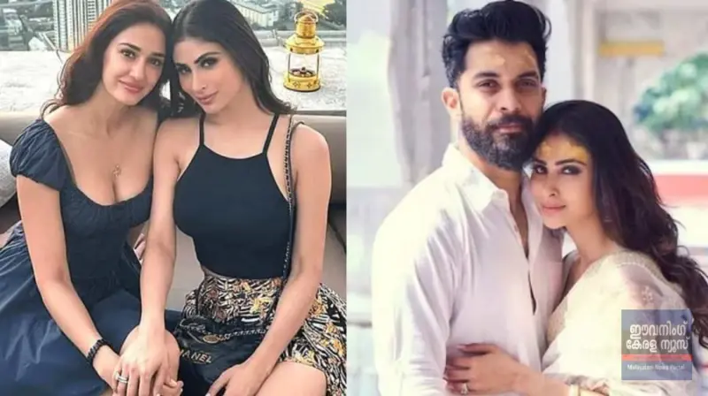 'മൗനി റോയ്‌യും ദിഷയും തമ്മില്‍ ലെസ്ബിയൻ ബന്ധം': പ്രതികരണവുമായി സൂരജ് നമ്പ്യാര്‍