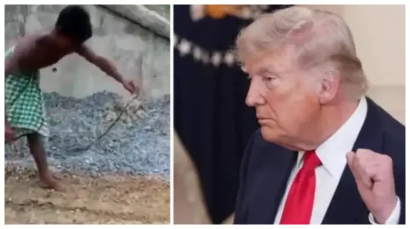 டிரம்பை இப்படி ஓடவிட்டுப் பார்த்திருக்க மாட்டீர்கள். இது என்ன உலக மகா உருட்டலா இருக்கு?. ஹர்ஷ் கோயங்கா பகிர்ந்த டிரம்பின் அந்த ரகசிய வீடியோ.!!!