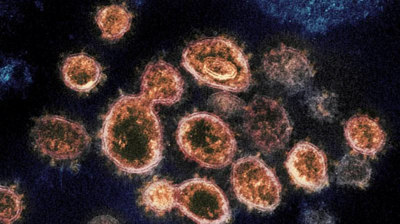 Cheap antidepressant shows promise treating early COVID-19