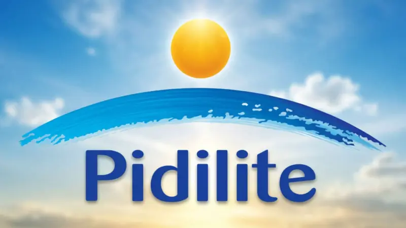 Why Fevicol maker Pidilite plans to raise prices again