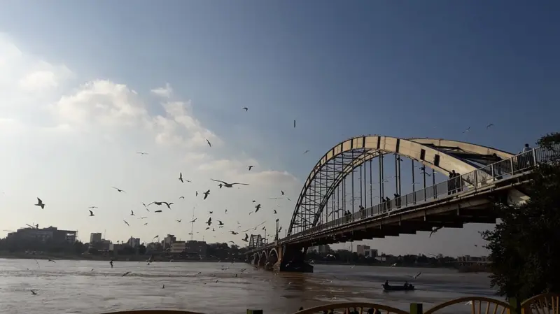 Did you know about the bull sharks of the Karun river in Iran's Ahvaz?