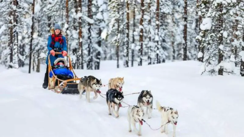 Adventure travel in Greenland: Top things to do