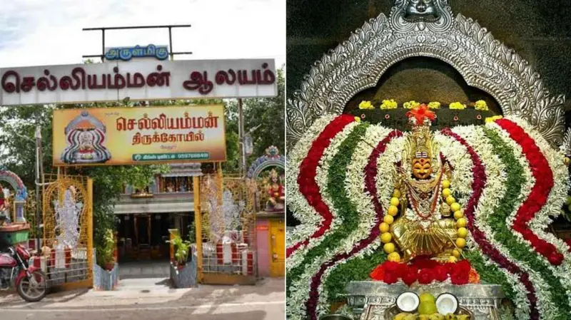 பொம்மி - திம்மி - சாமுண்டீஸ்வரி!