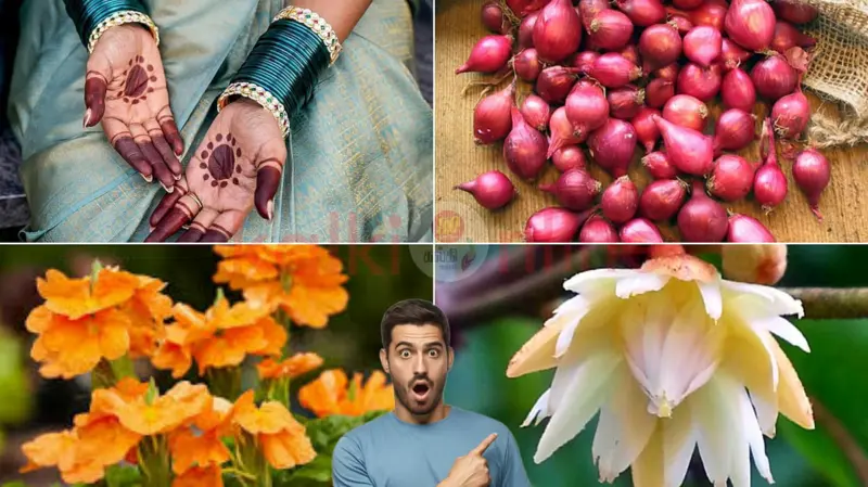 வீட்டில் உள்ள எதிர்மறை சக்தியை விரட்ட பாரம்பரியப் பரிகாரங்கள்!