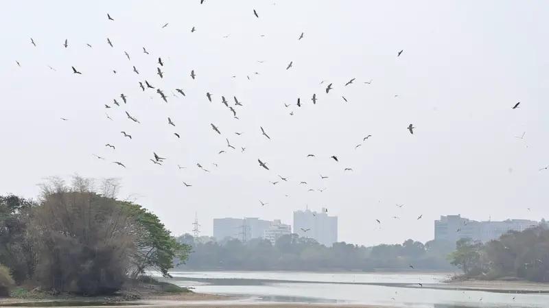 Sewage dominates lakes in Bengaluru's Hebbal-Nagavara Valley, finds study
