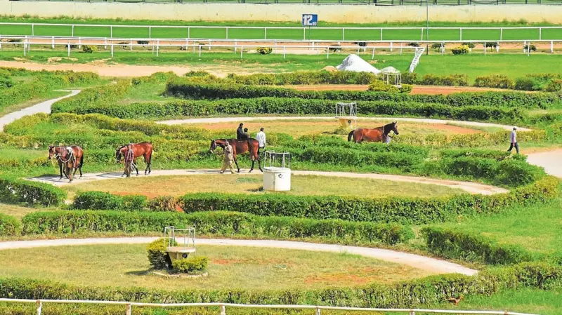 Karnataka Cabinet decides to shift Bengaluru turf club to Kunigal stud farm