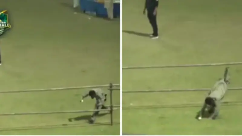 Watch: Fan's incredible diving catch goes viral during Tape ball championship in Pakistan