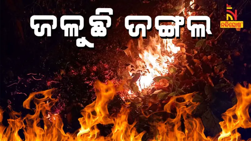 ତିନିକୋଶିଆ ଜଙ୍ଗଲରେ ଅଗ୍ନିକାଣ୍ଡ