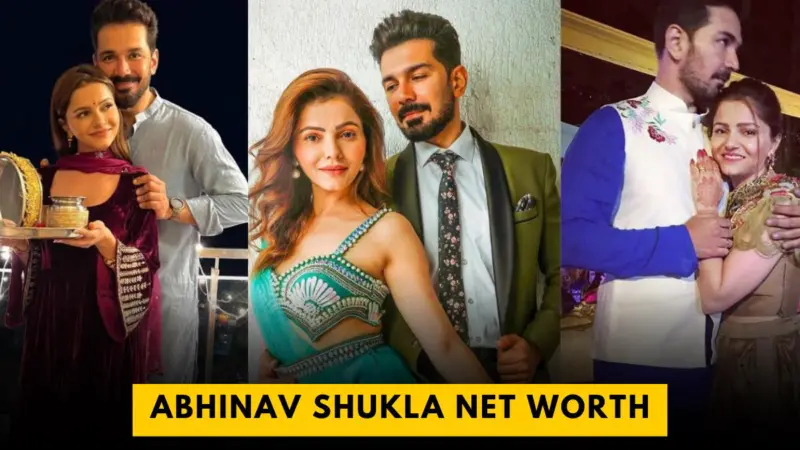 TV Serial Actor Abhinav Shukla Net Worth 2024 | 5 Dariya News