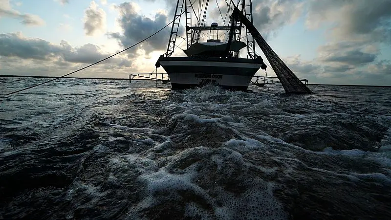 Scientists reveal how trawling the bottom of the ocean could release millions of tonnes of CO2