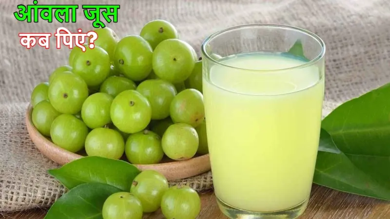 Amla Juice Benefits: आंवला जूस पीने का सही समय क्या है? गर्मी में बीमारियां दूर भगा देगा ये हेल्थ ड्रिंक, 6 बड़े फायदे जानें