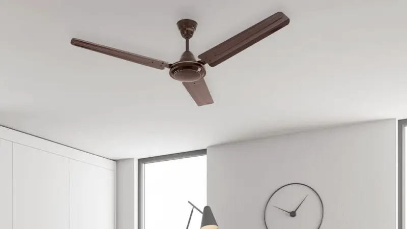 Usha fan: 7 essential choices for a cool and breezy summer