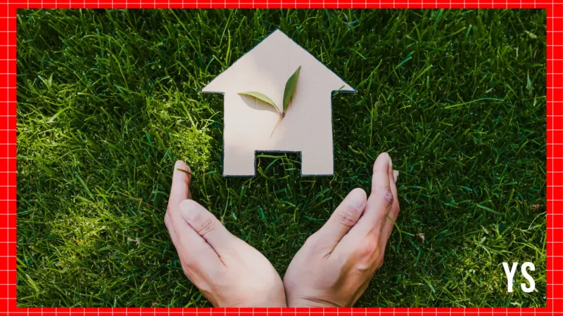 The rise of sustainable building materials-a blueprint for startup success