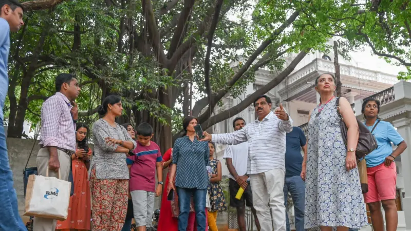 Scientist highlights urban greenery's role against climate change