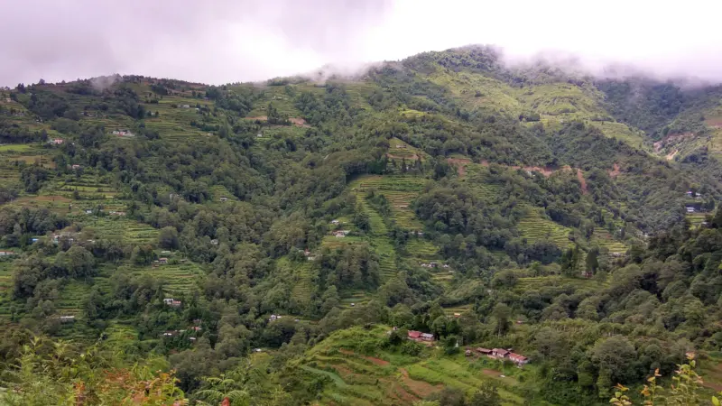 Mountain farmers of Sikkim-Darjeeling dealing with COVID & nature