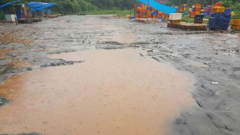 മത്സ്യമൊത്ത വ്യാപാരം നഗരസഭക്ക് കീഴിലാക്കണം