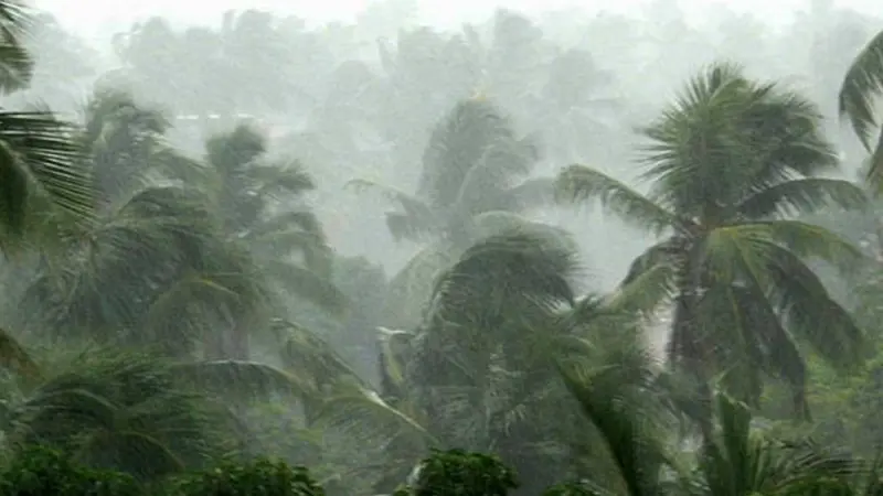 കനത്ത മഴ; കോഴിക്കോട് ജില്ല ആശങ്കയില് ദുരിതാശ്വാസ ക്യാമ്ബുകള് തുറന്നു