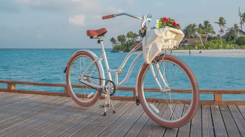 Best bicycle for women in Pink: Top 10 picks from Hero, Hercules and more