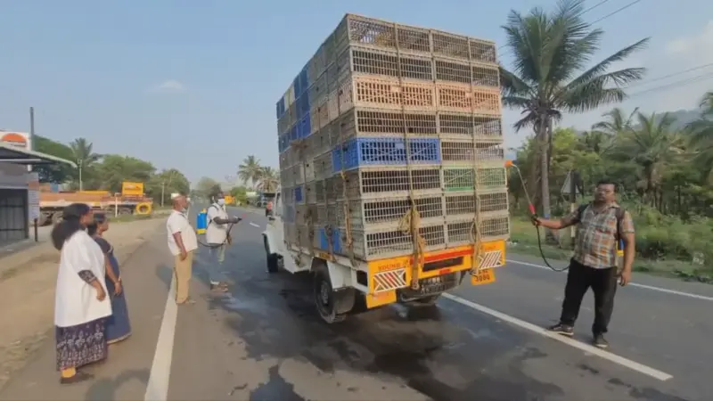 கேரளாவில் பறவைக் காய்ச்சல்: தமிழக எல்லையில் கடும் கட்டுப்பாடு!