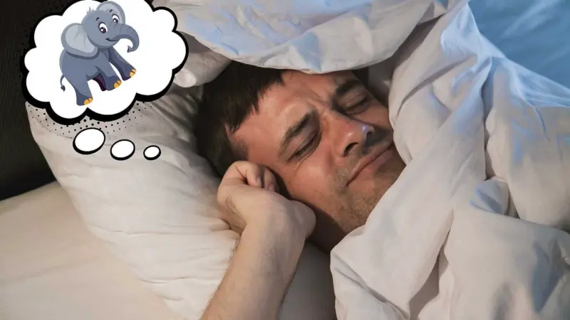 யானை கனவில் வந்தால் அதிர்ஷ்டம் உங்கள் கதவைத் தட்டும்! 10 ரகசிய பலன்கள்!