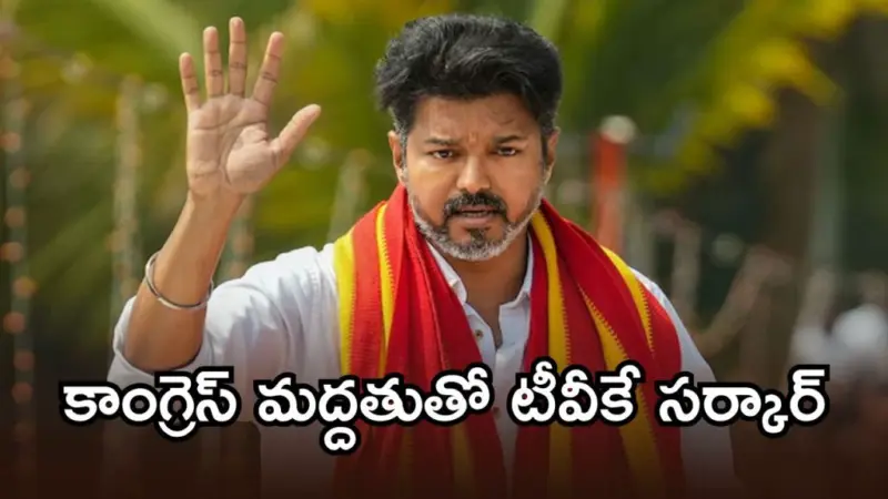 తమిళనాడు సీఎంగా విజయ్ పట్టాభిషేకం.. రేపు ఉదయం 11 గంటలకు ముహూర్తం ఖరారు