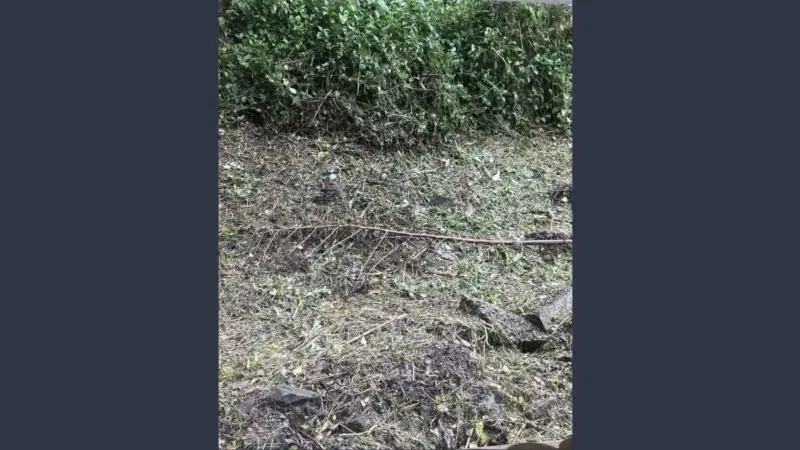 Only 1% Can Beat This Viral Optical Illusion in 7 Seconds!