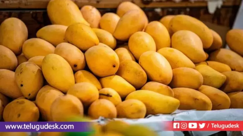 వేసవిలో మామిడి తింటున్నారా? రంగు చూసి మోసపోవద్దు. ఈ యాప్ మీ ప్రాణాలను కాపాడొచ్చు!